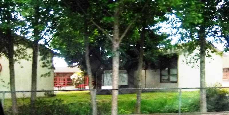 Ferndale High photo