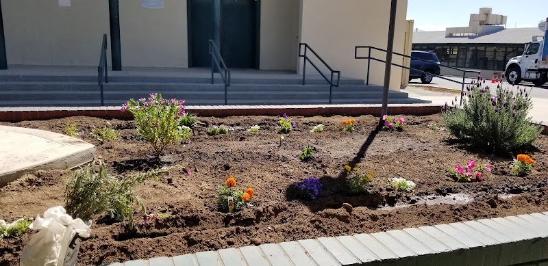 Sierra Middle photo
