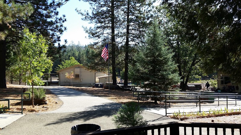 American River Charter photo