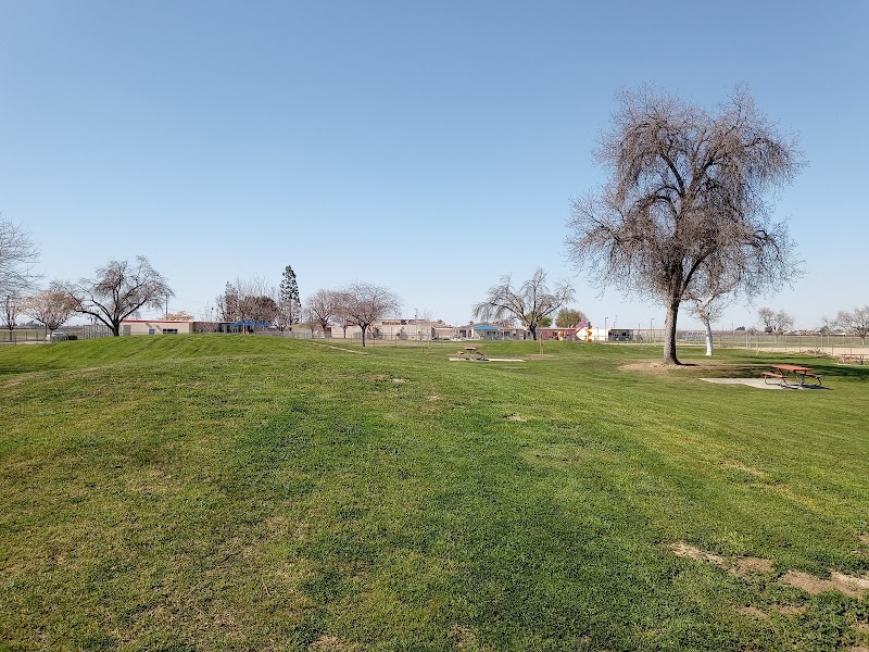 Albany Park Elementary photo