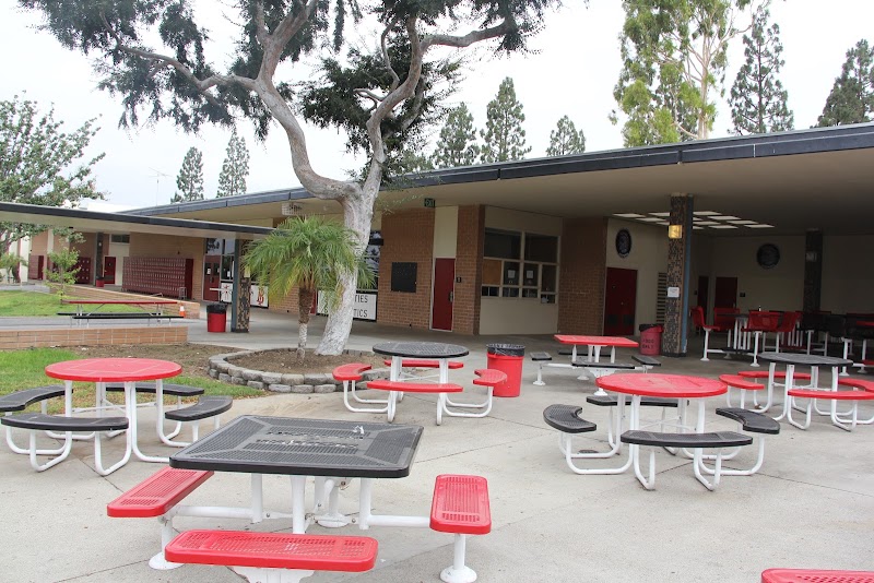 Troy High photo