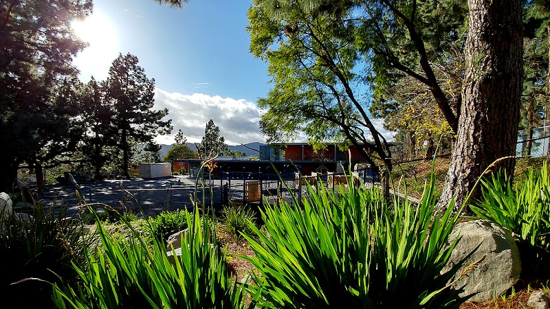 Mountain Avenue Elementary photo