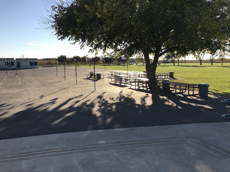 Waterloo Elementary photo