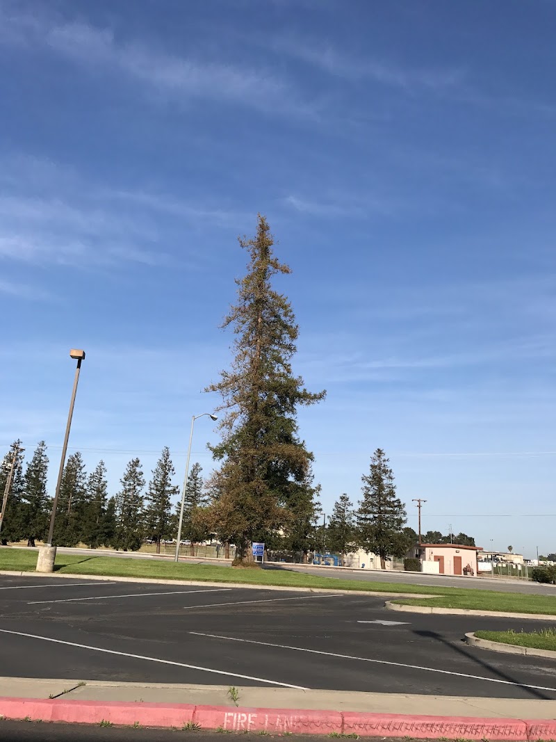 Yamato Colony Elementary photo