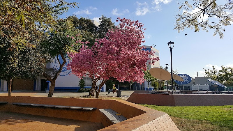 Los Angeles Senior High photo