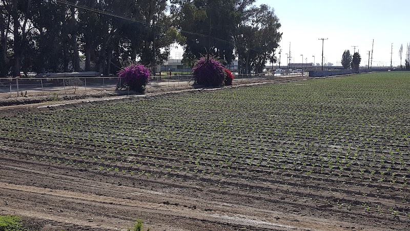 Laguna Vista Elementary photo