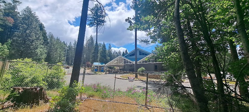 Cedarwood Elementary photo