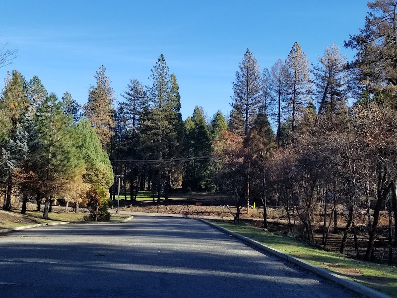 Pine Ridge photo