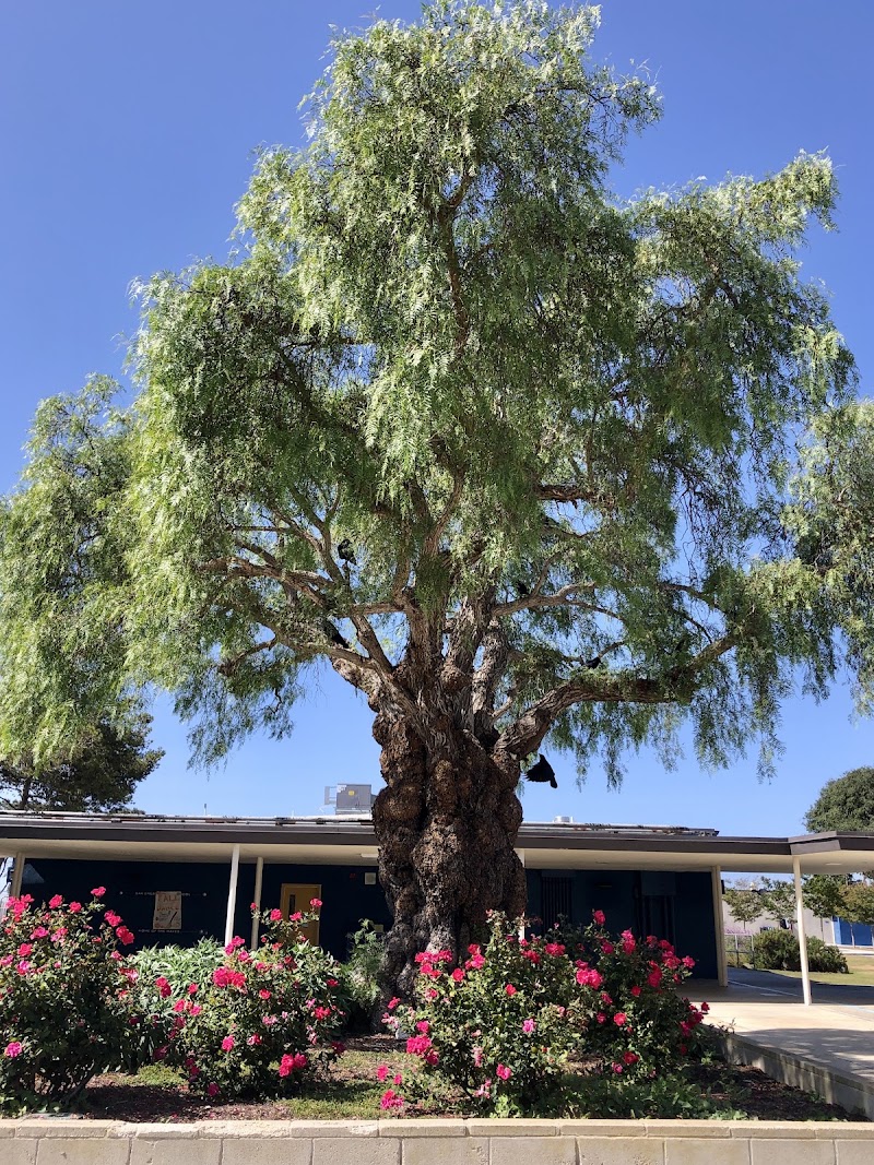 Oak Crest Middle photo