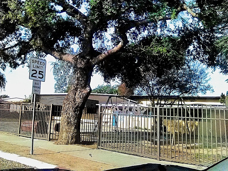 Coolidge Elementary photo