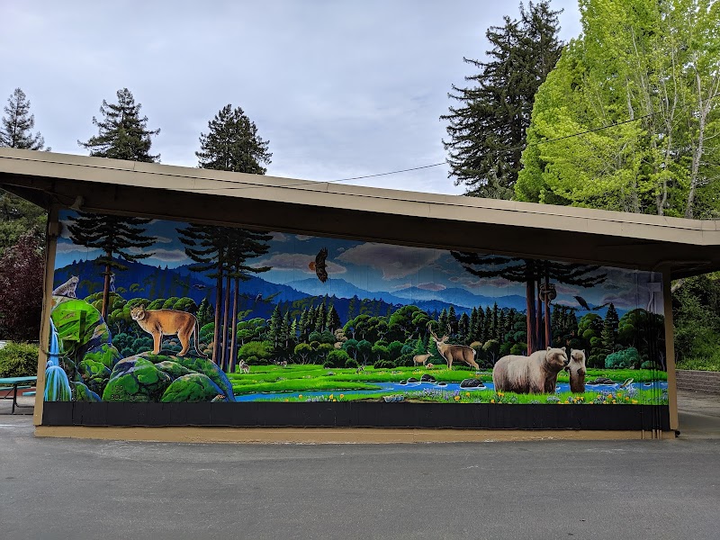 Boulder Creek Elementary photo