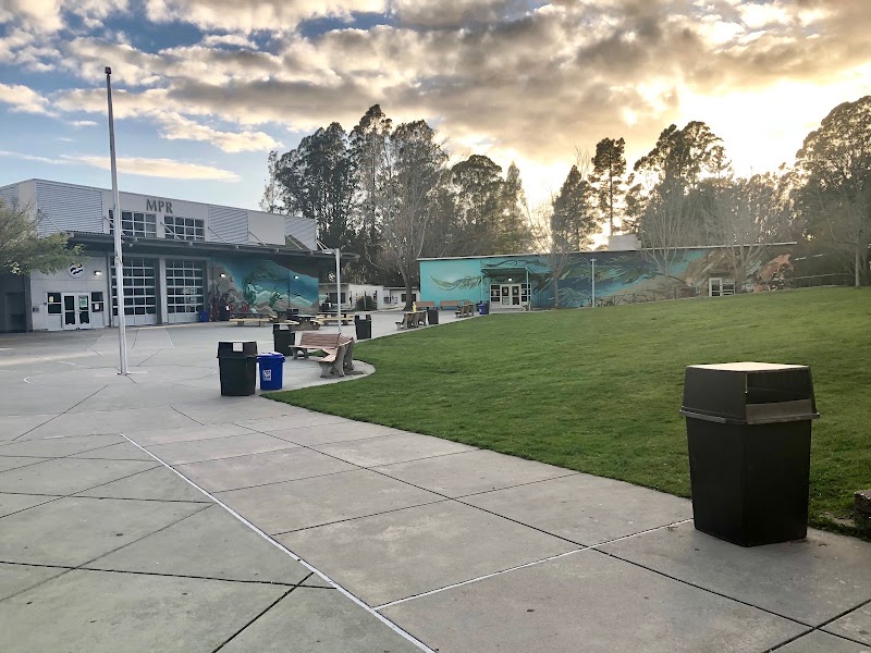 Harbor High photo
