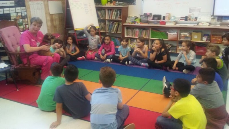 Sassarini Elementary photo