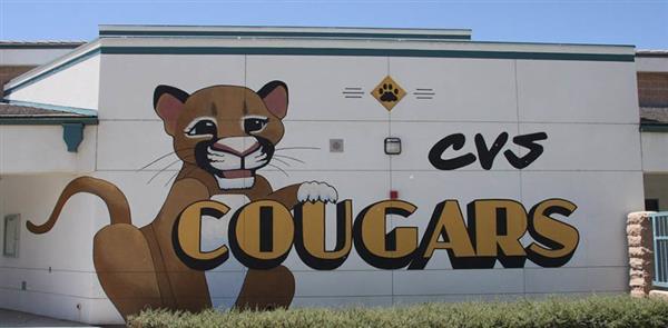 Cummings Valley Elementary photo