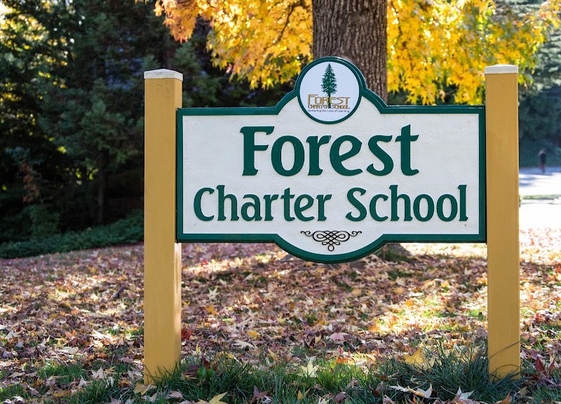 Forest Charter photo