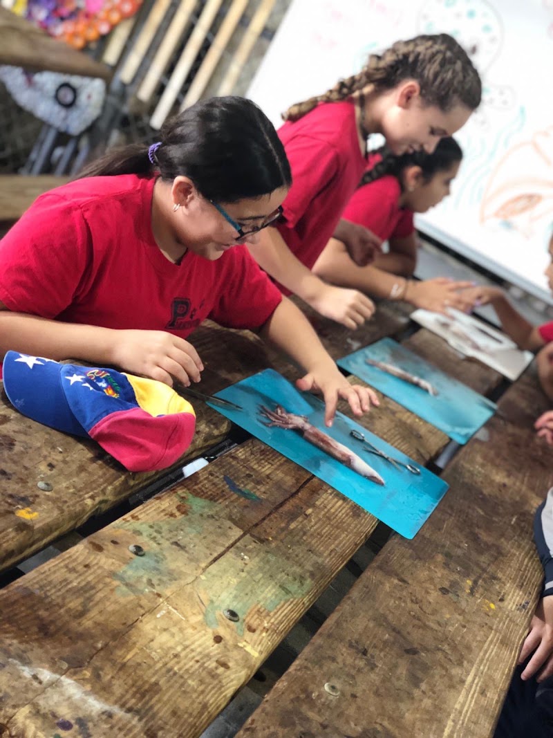 PINECREST PREPARATORY ACADEMY photo