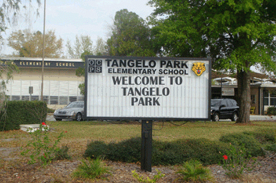 TANGELO PARK ELEMENTARY photo