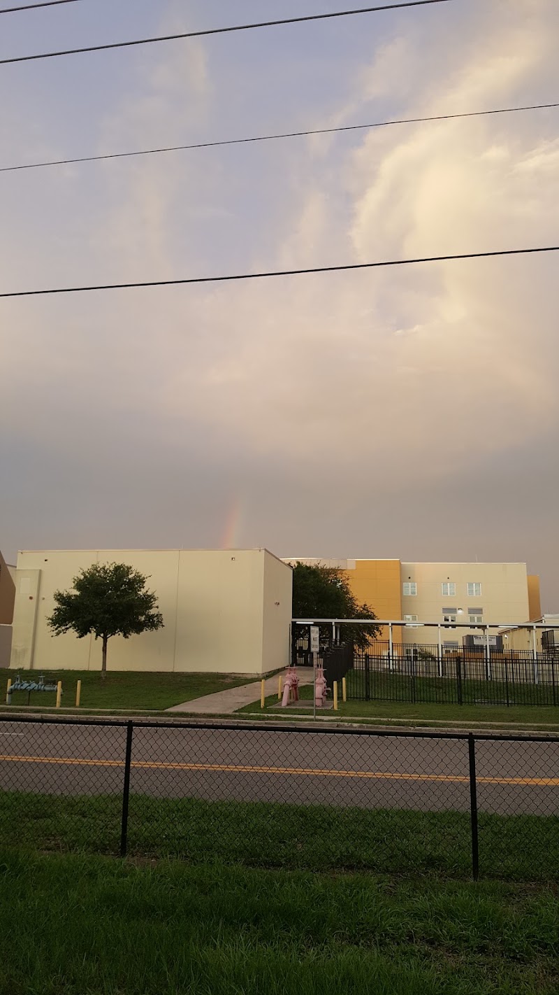 BOCA CIEGA HIGH SCHOOL photo