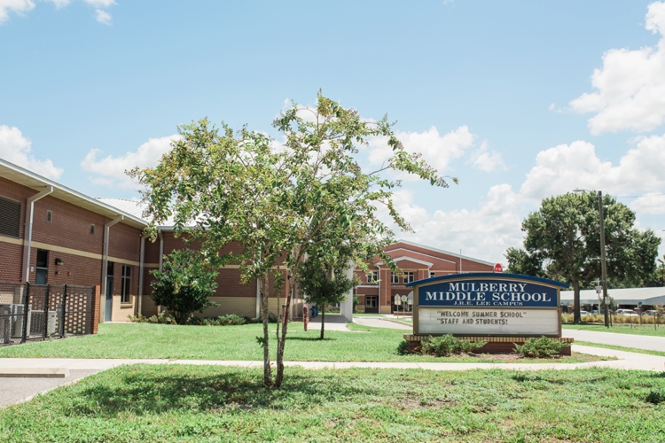 MULBERRY MIDDLE SCHOOL photo
